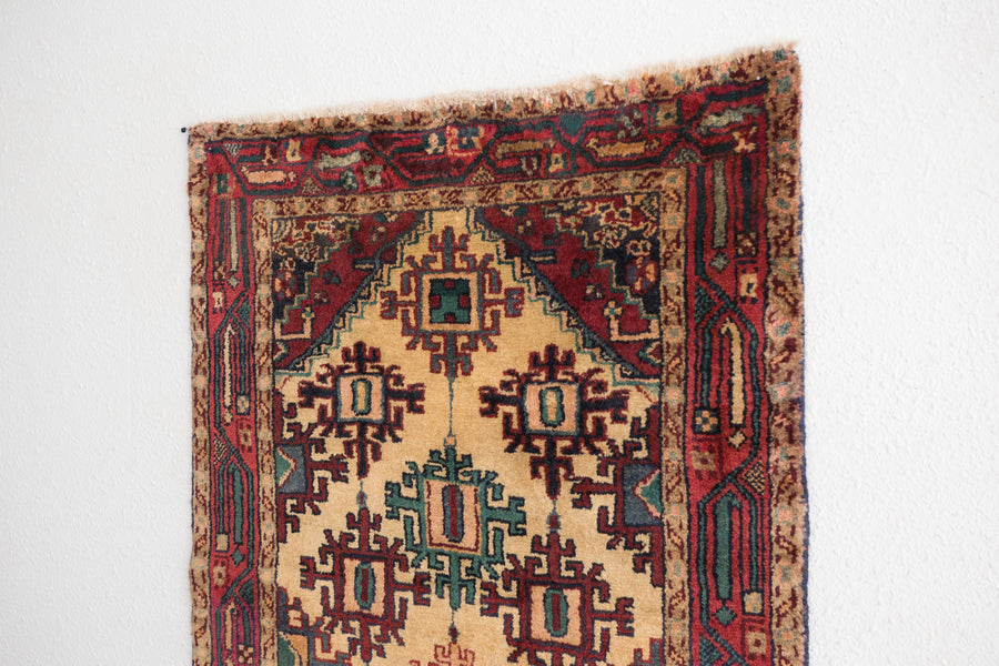 3x10 Persian Rug | ARDALAN