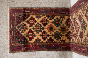 3x10 Persian Rug | ARDALAN