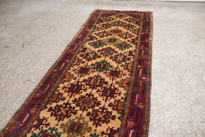3x10 Persian Rug | ARDALAN
