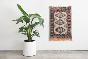 2x3.5 Pakistani Rug | RAFAY