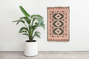 2x3.5 Pakistani Rug | RADIA