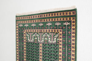 3x15 Pakistani Rug | BATINA