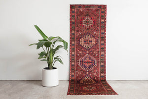 3x9.5 Persian Rug | AYNAZ