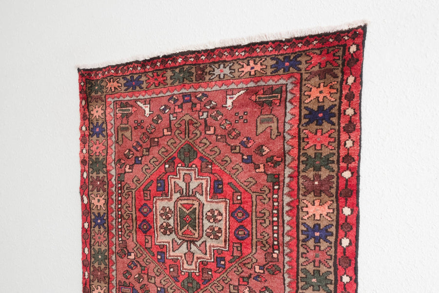 3x9.5 Persian Rug | AYNAZ