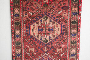 3x9.5 Persian Rug | AYNAZ