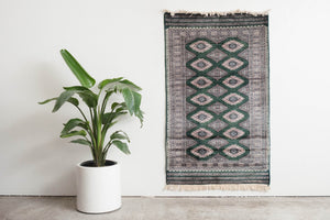 3x5.5 Pakistani Rug | BAZAM