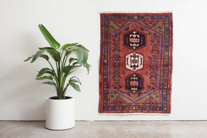 3.5x5 Persian Rug | BARDIA