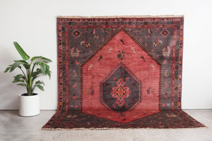 8x10 Persian Rug | BEHDIN