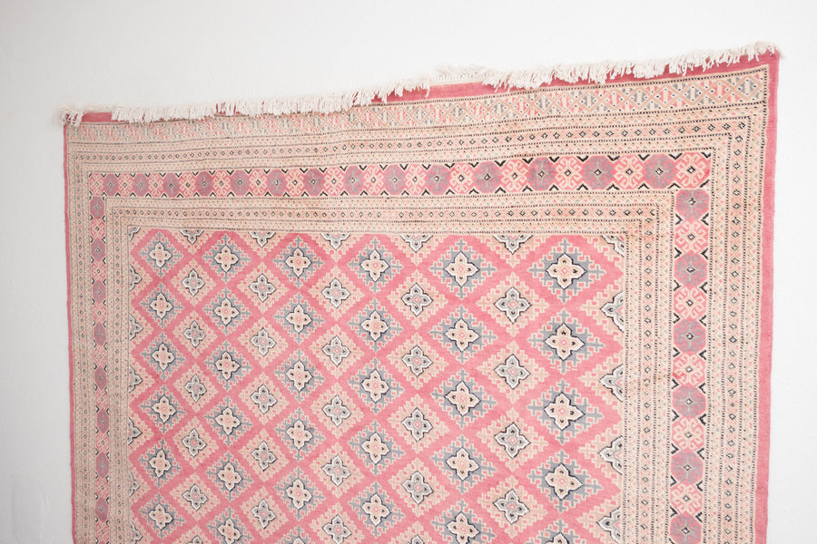 8x10.5 Pakistani Rug | BERAM