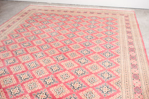 8x10.5 Pakistani Rug | BERAM