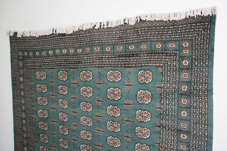 8x12 Pakistani Rug | BINESH