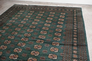 8x12 Pakistani Rug | BINESH