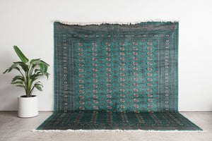 8.5x10 Pakistani Rug | RAJAVI