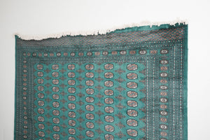 8.5x10 Pakistani Rug | RAJAVI