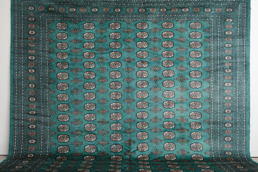 8.5x10 Pakistani Rug | RAJAVI