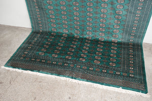 8.5x10 Pakistani Rug | RAJAVI