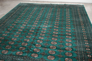 8.5x10 Pakistani Rug | RAJAVI
