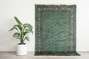 5x8.5 Pakistani Rug | BAZISH