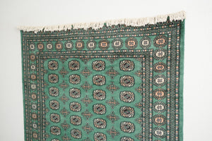5x8.5 Pakistani Rug | BAZISH