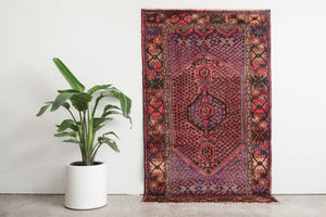 4x7 Persian Rug | AYLAR