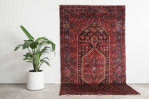 5x9 Persian Rug | BEHDAD