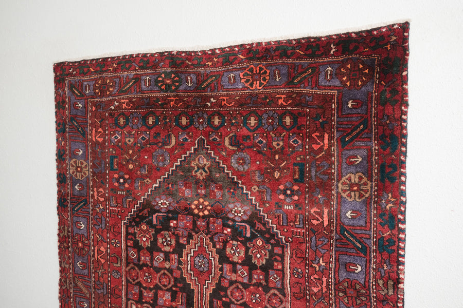 5x9 Persian Rug | BEHDAD