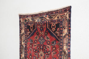 2.5x11.5 Persian Rug | BEHKAM