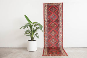 2.5x9.5 Persian Rug | BEHJAN