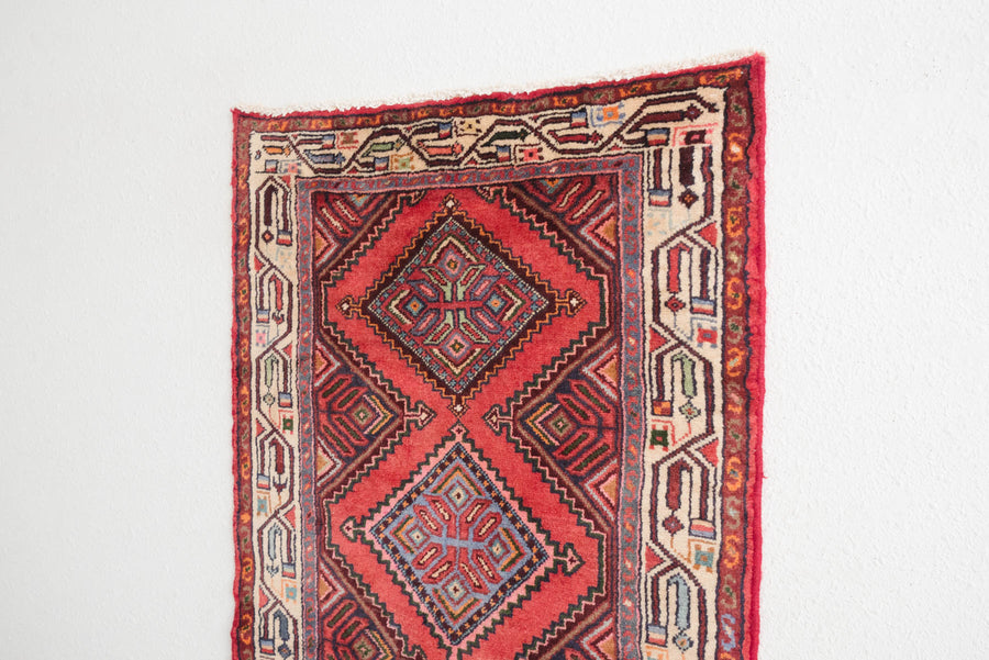 2.5x9.5 Persian Rug | BEHJAN