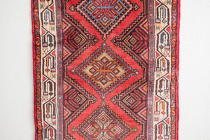 2.5x9.5 Persian Rug | BEHJAN