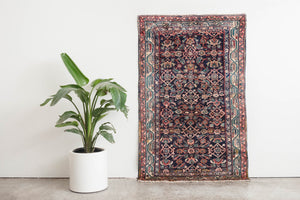 4x6 Persian Rug | BEHNIA