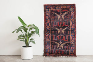 4x6.5 Persian Rug | BELKA