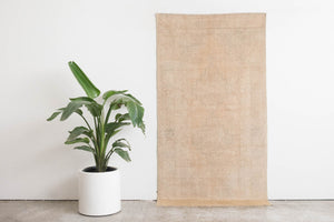 3.5x6.5 Turkish Sunwash Rug | ELMAS