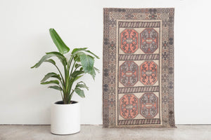 3.5x6 Turkish Rug | EFE