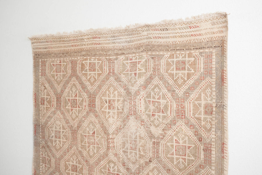 6x9 Turkish Rug | AVNI