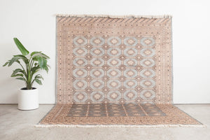 8x11 Pakistani Rug | RAJEN