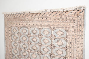 8x11 Pakistani Rug | RAJEN