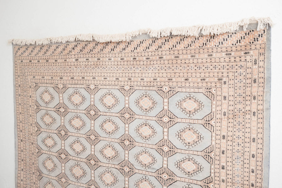 8x11 Pakistani Rug | RAJEN