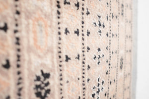 8x11 Pakistani Rug | RAJEN