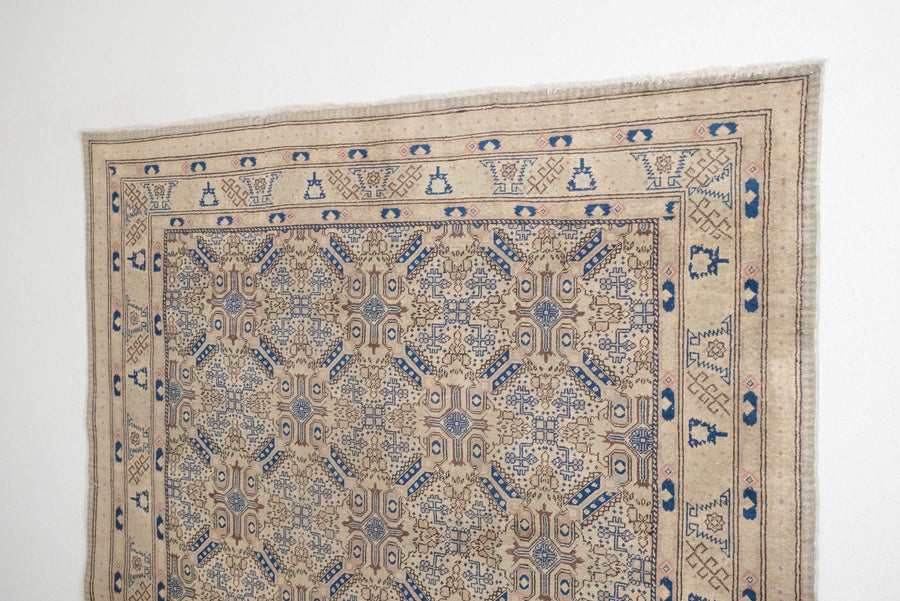 6.5x9.5 Turkish Rug | AYSU