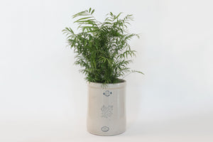 Antique 8Gal Western Crock