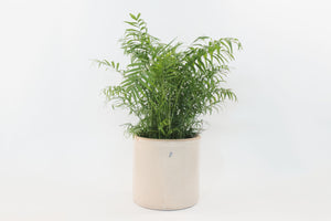 Antique 5Gal Stoneware Crock
