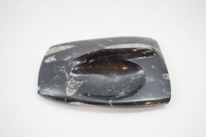 Carved Orthoceras Tray