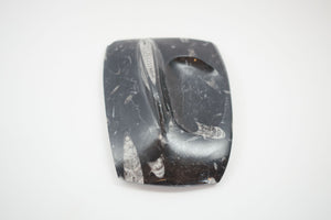 Carved Orthoceras Tray