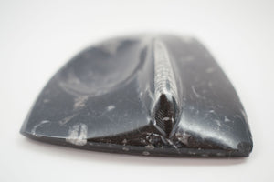 Carved Orthoceras Tray