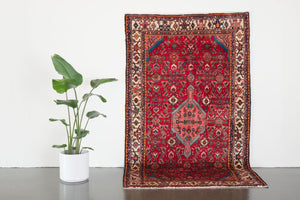 5x9 Persian Rug | HAMI