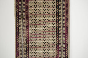 3x12 Pakistani Rug | DAIYA
