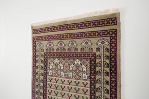 3x12 Pakistani Rug | DAIYA