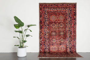 5x8.5 Persian Rug | FARNOD