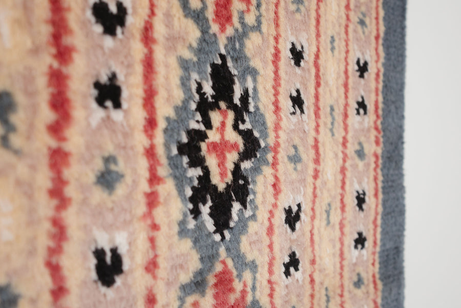 5x8.5 Pakistani Rug | ALLAMI